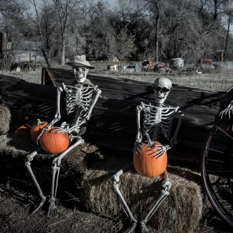 Halloween skeleton online life size